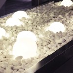 Videos para Empresas